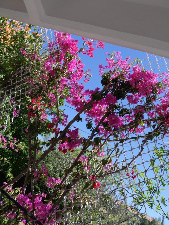 Helios-Rhodos-Apartments Koskinou  エクステリア 写真
